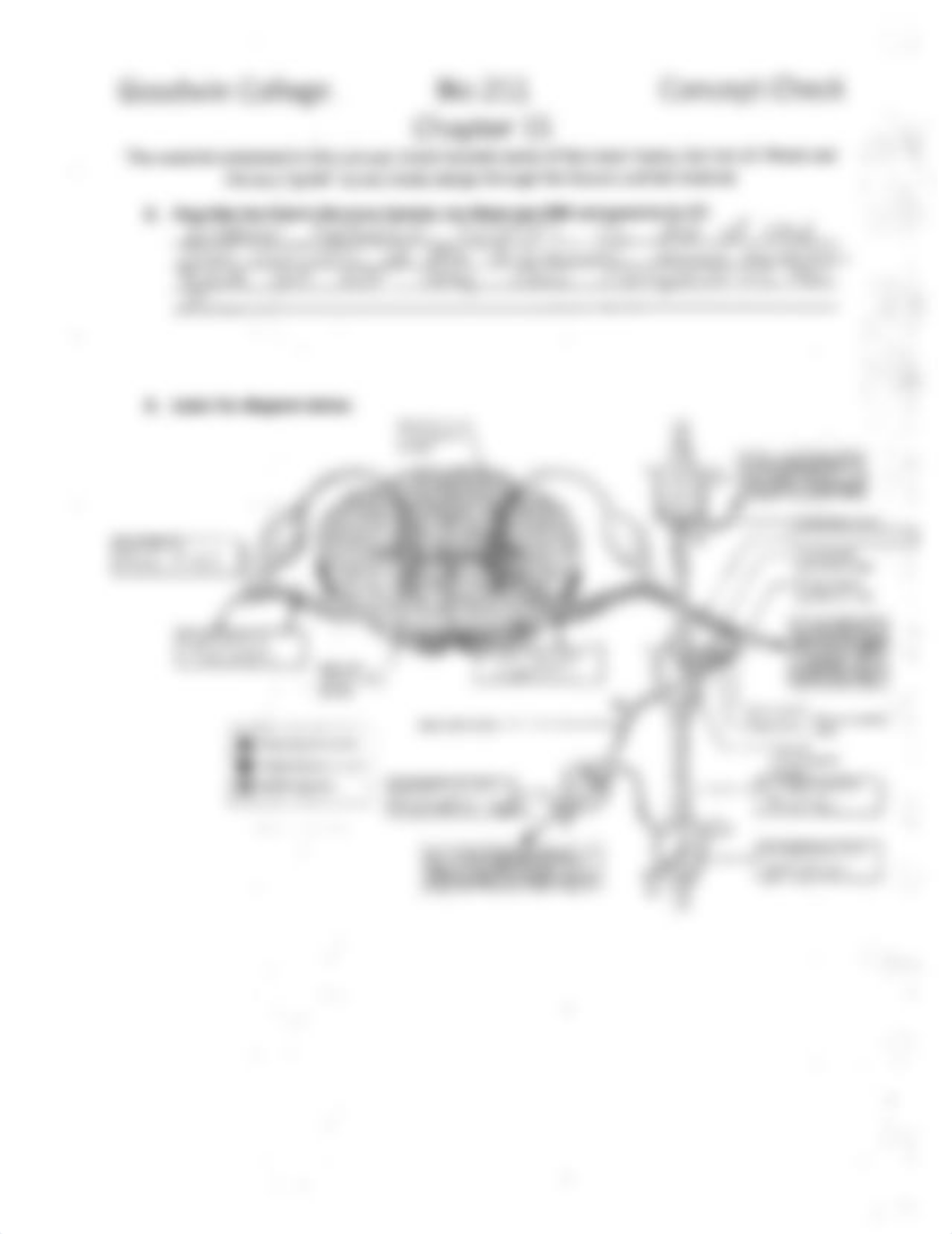 Concept Check 15 Bio 211.pdf_d7q2wijbevn_page2