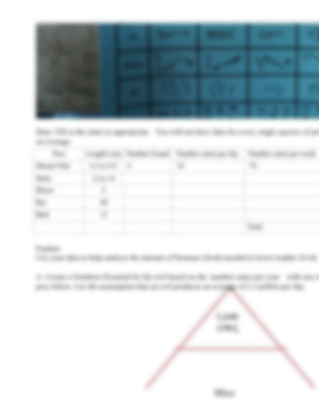 Owl Pellet Ecology Lab.pdf_d7q6ooo657l_page5