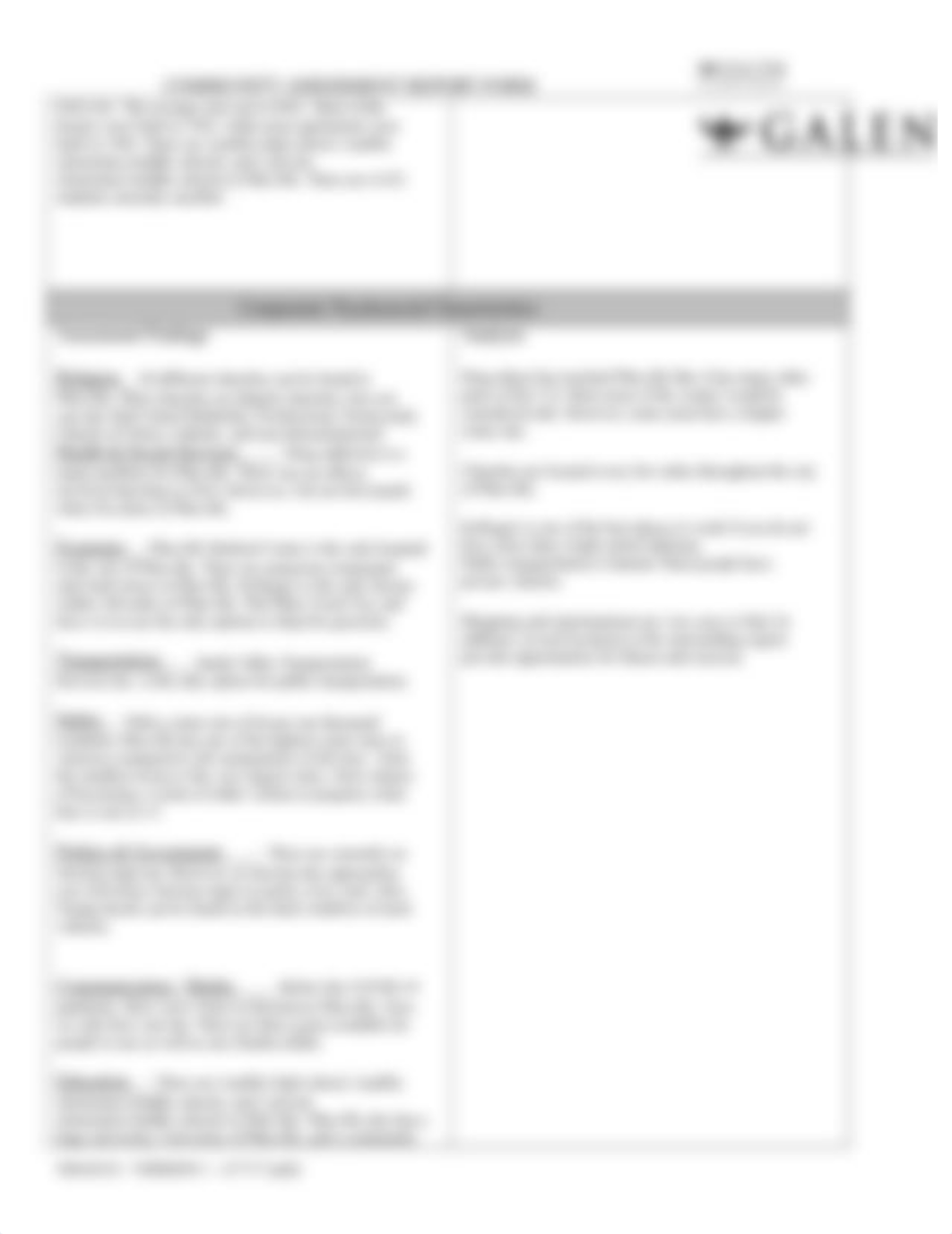 Windshield Survey Template_Des Compton.docx_d7qa21xki70_page2