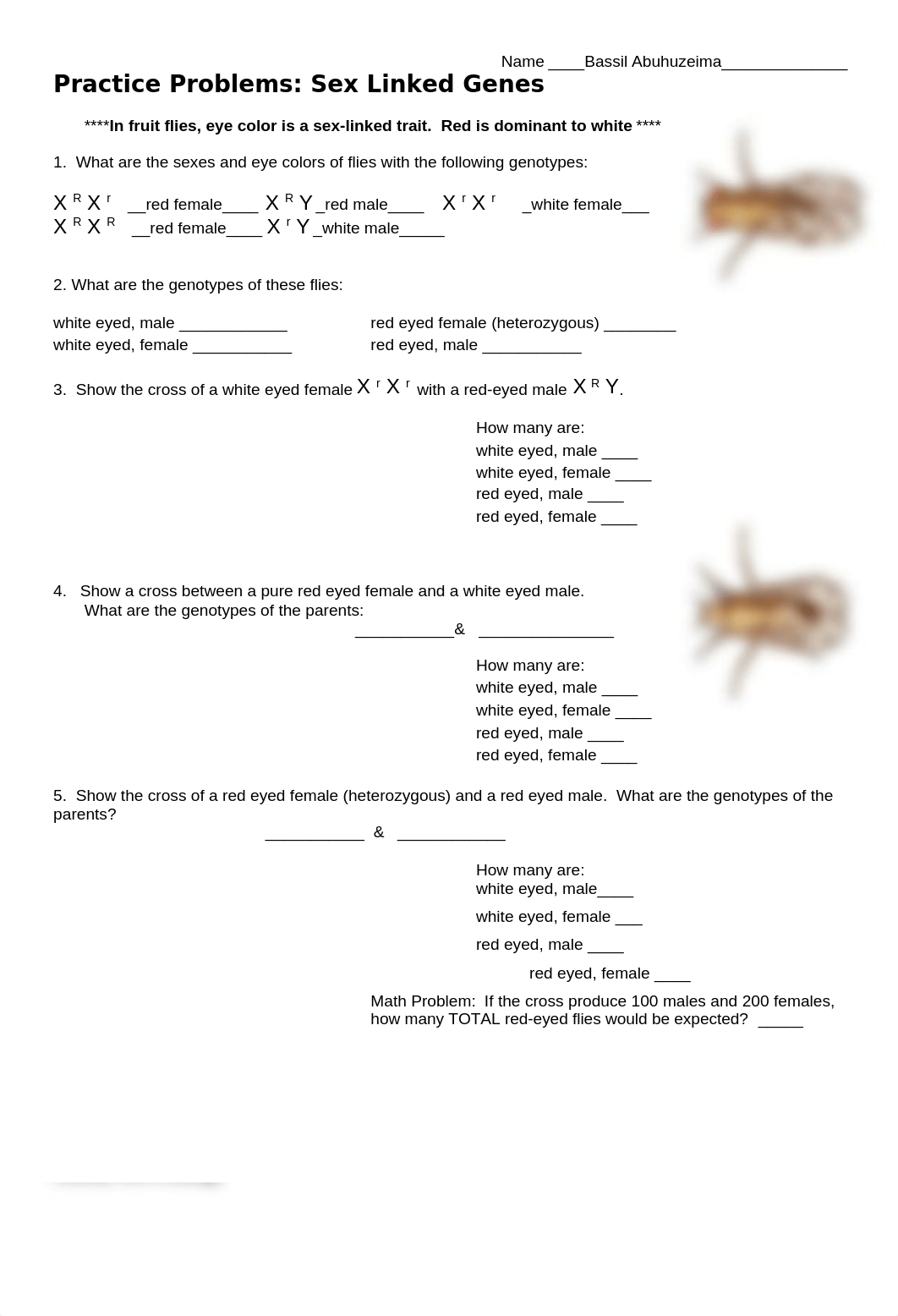 Practice Problems - Sex Linked Genes (1).docx_d7qj88734ki_page1