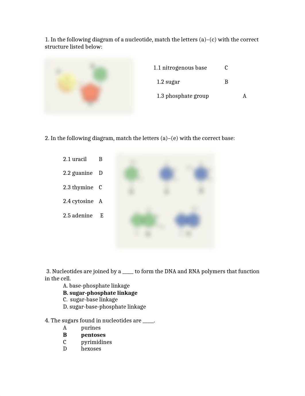 Updated DNA Preclass Assignment Answers.docx_d7qp4yi7whu_page1