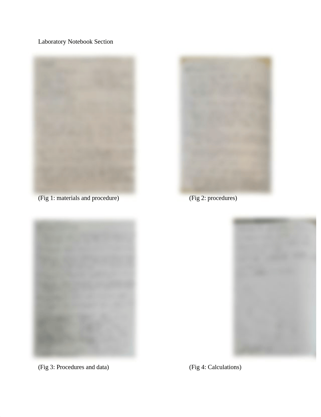 ALUND Lab 9-Stoichiometry of a Percipitation Reaction.docx_d7qq0px9x0q_page2