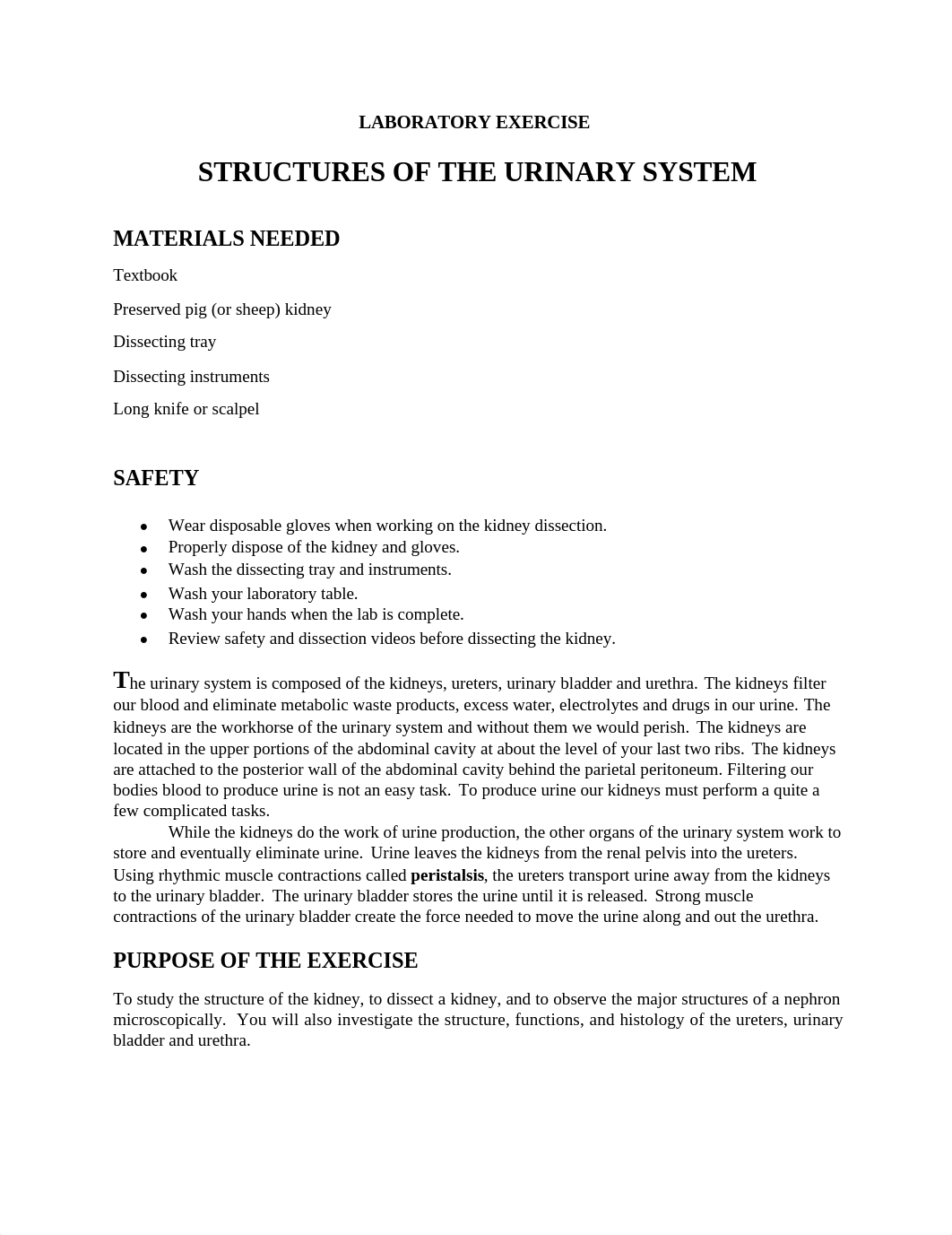 Structure of the Urinary System Feb 7-Ashli Rigel.doc_d7qswwvv520_page1