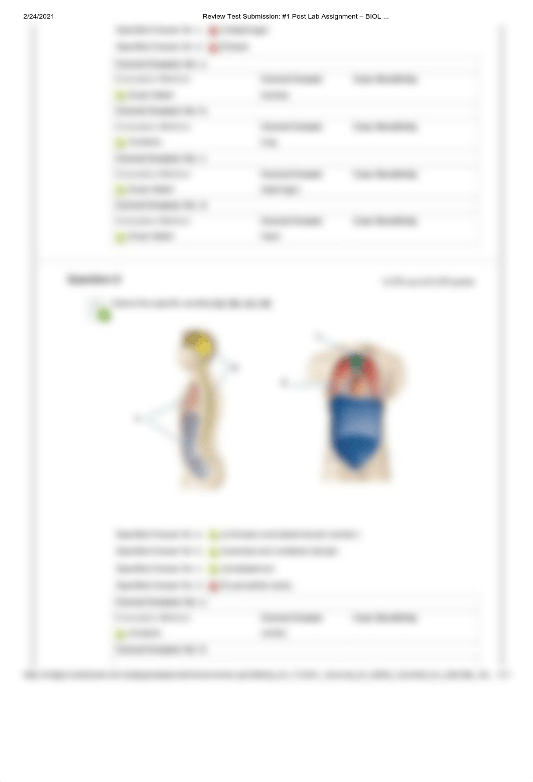 Review Test Submission_ #1 Post Lab Assignment - BIOL .._.pdf_d7qwwmlndf5_page3