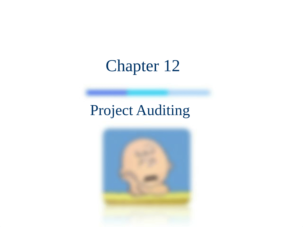 Ch12_Project Auditing.pdf_d7r1gkj9mu5_page1