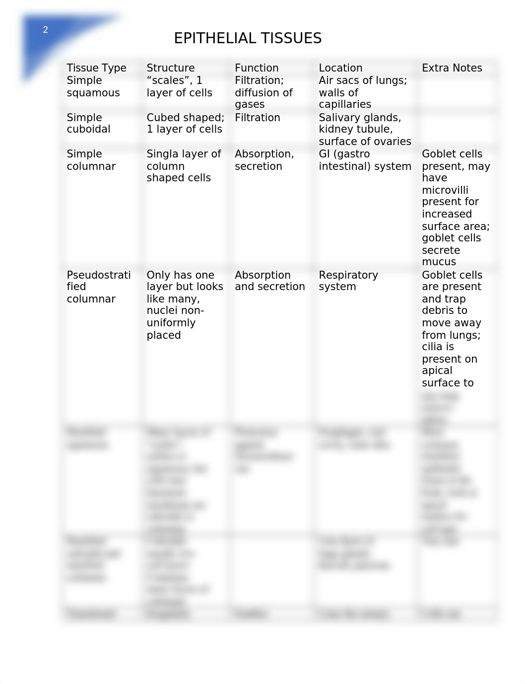 Anatomy Epithelial Tissue Chart (greeves).docx_d7r6j8soccd_page1