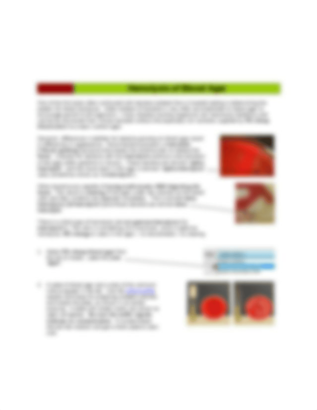 Lab 5a VumeoGram + cocci identification.docx_d7rcpcxplf8_page3