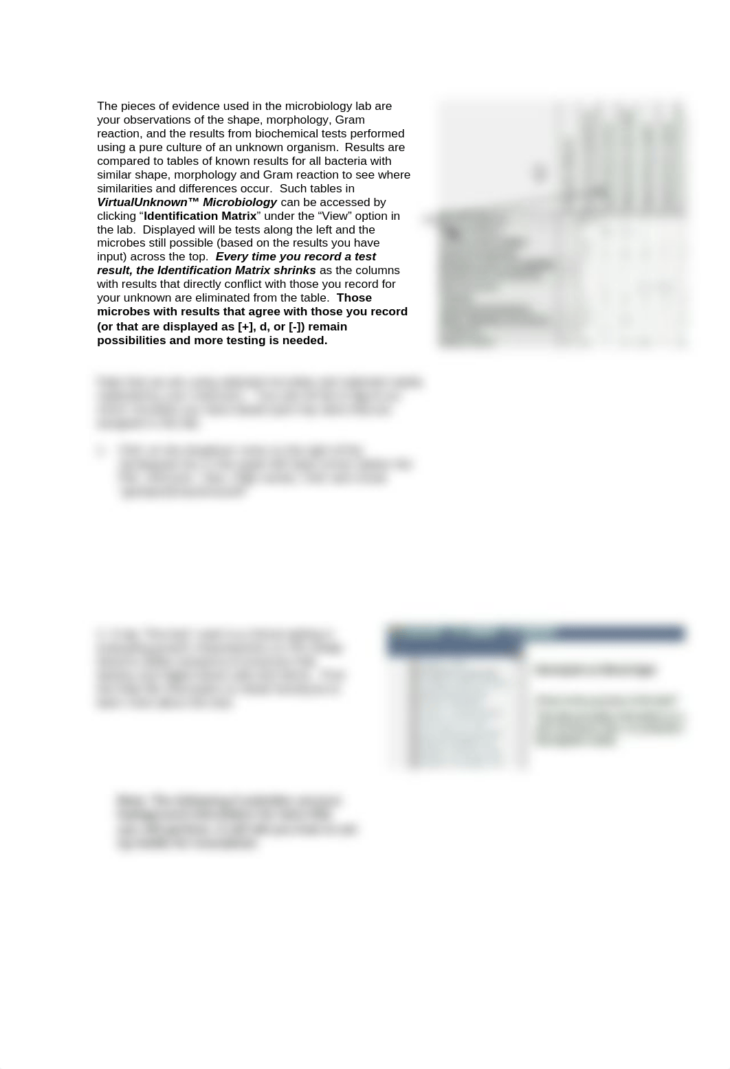 Lab 5a VumeoGram + cocci identification.docx_d7rcpcxplf8_page2