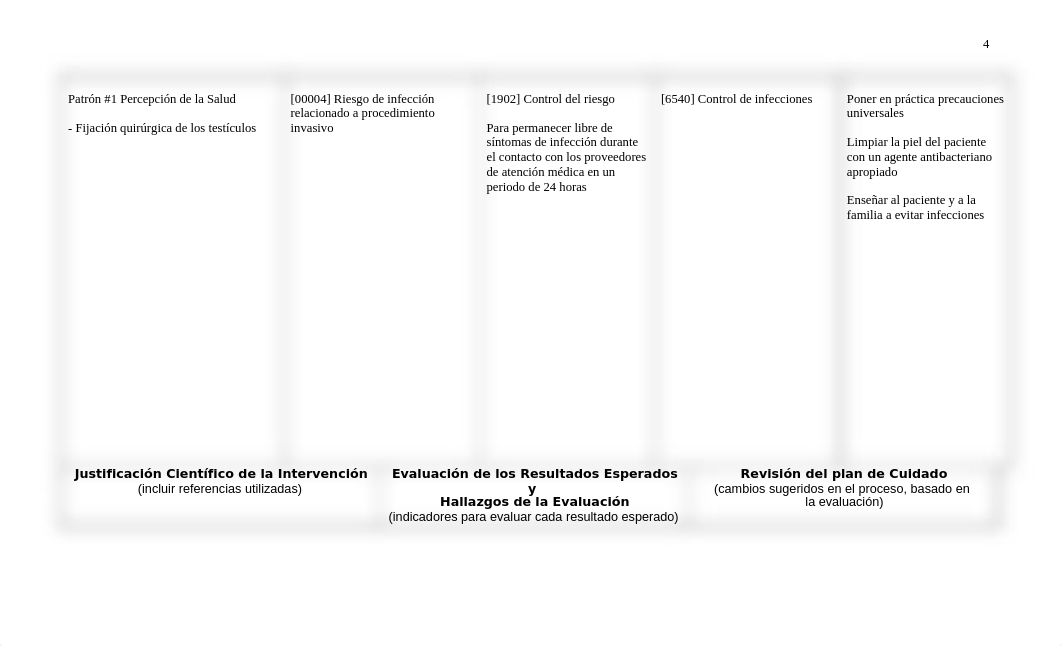 11 Planes de Cuidados.docx_d7rg9cic2pp_page4