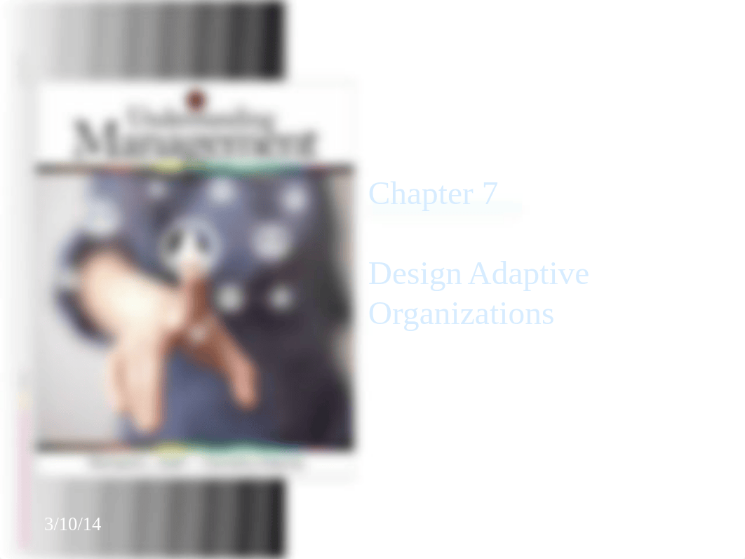 Chapter 7 -Organization structure - Preliminary_d7riorv7xx5_page1