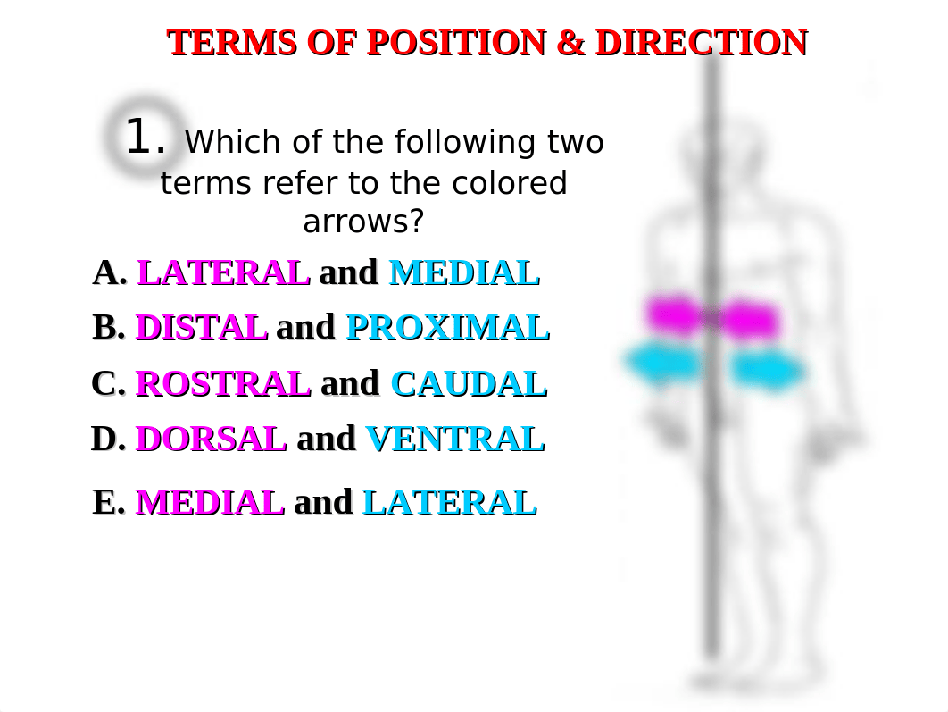 exam 1 2006 powerpoint.ppt_d7roa97olhc_page2