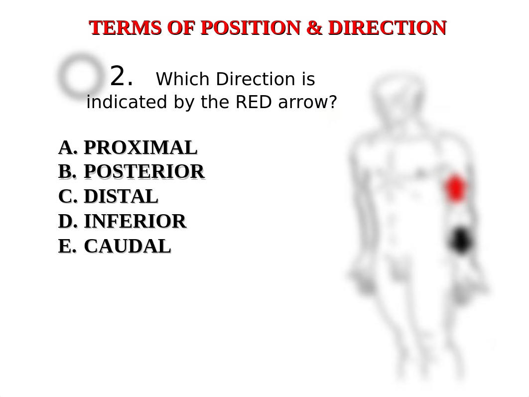 exam 1 2006 powerpoint.ppt_d7roa97olhc_page3