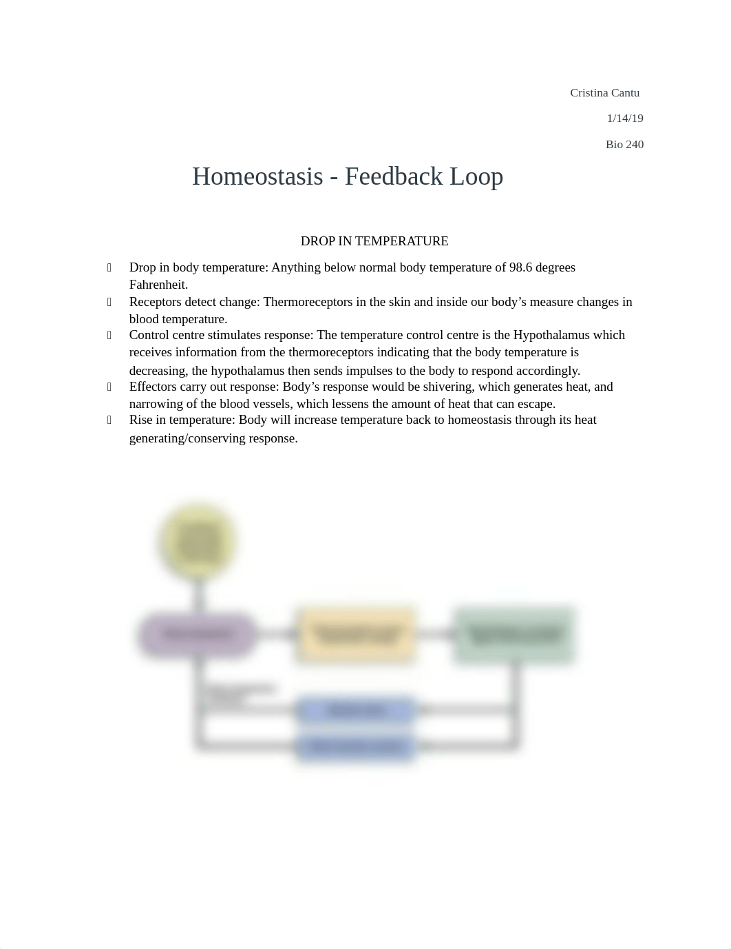 Homeostasis Feedback Loop 2019.docx_d7rojk4k4xc_page1