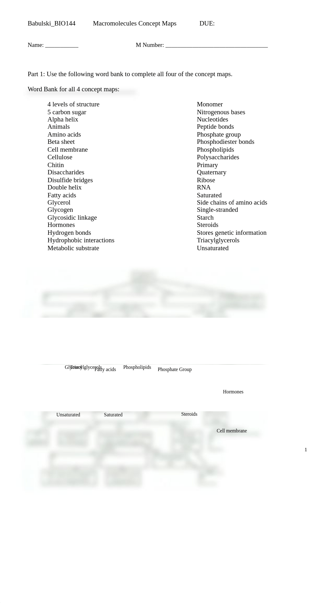 MacroMolecules Concept Map Answers.docx_d7rq8mwdutb_page1