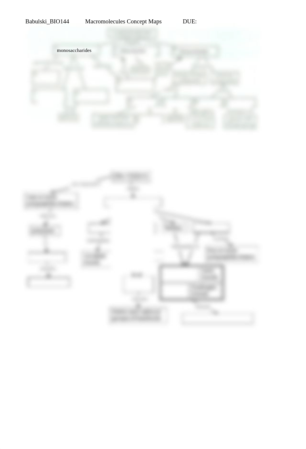 MacroMolecules Concept Map Answers.docx_d7rq8mwdutb_page2