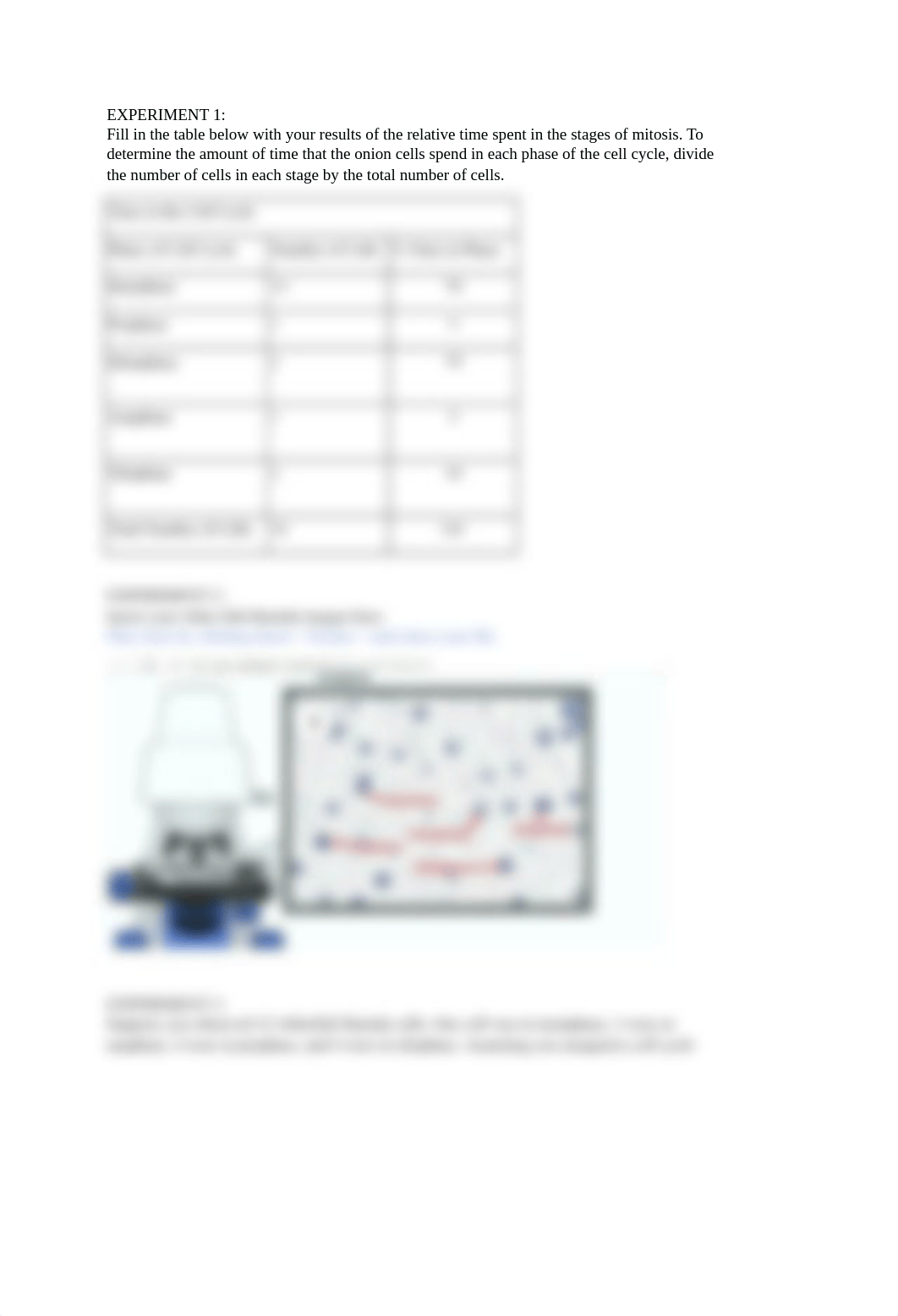 Lab 09 Mitosis and Meiosis Short Answers.docx_d7rrreya8dx_page2