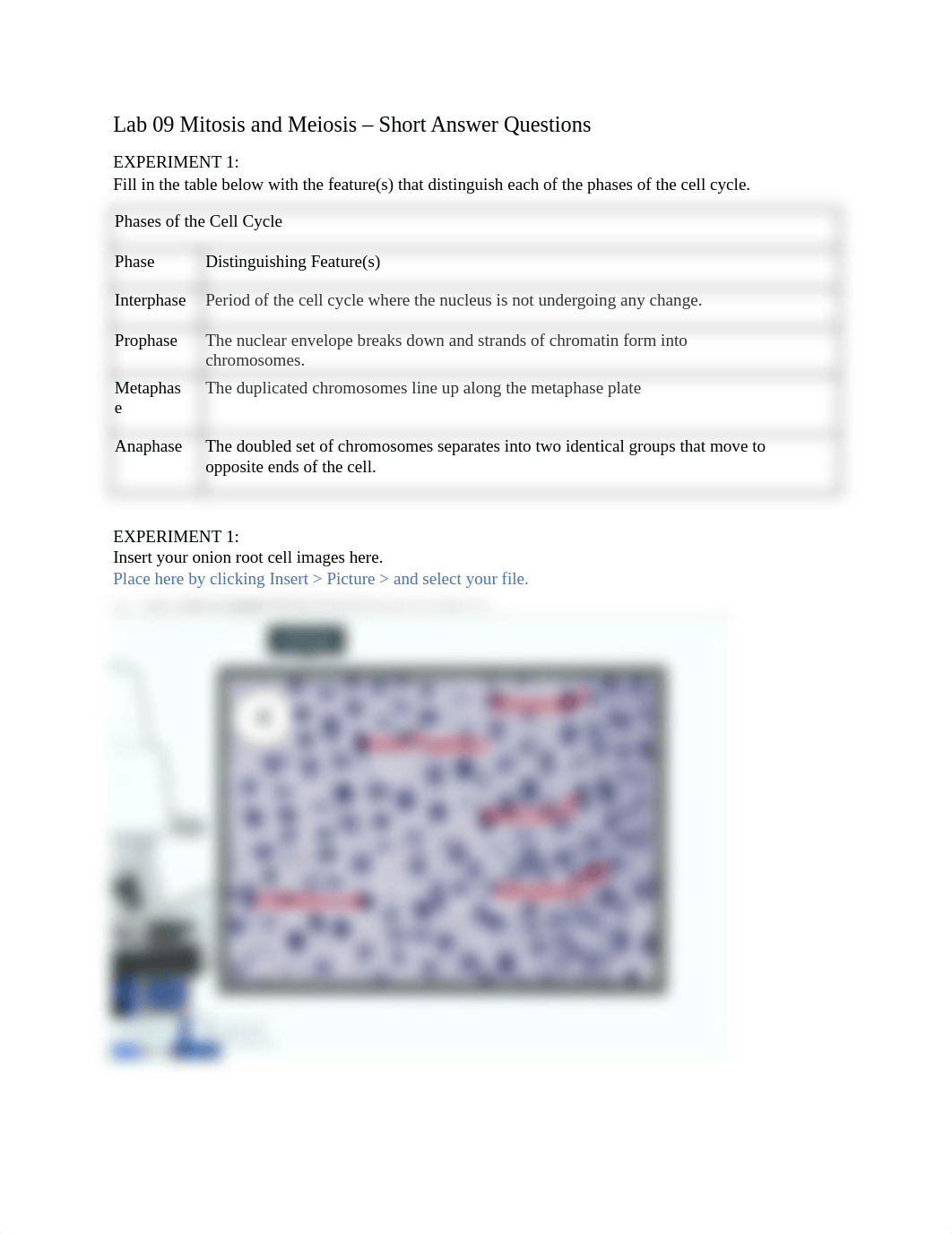 Lab 09 Mitosis and Meiosis Short Answers.docx_d7rrreya8dx_page1
