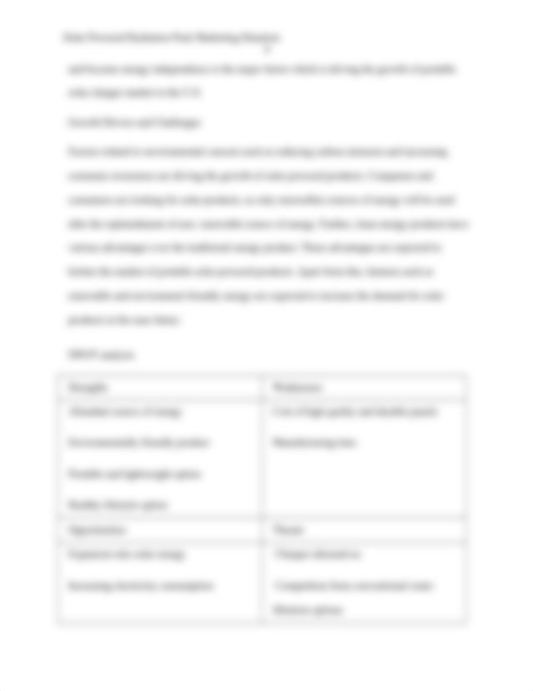 Marketing Group Project.docx_d7rs2v7cujg_page4