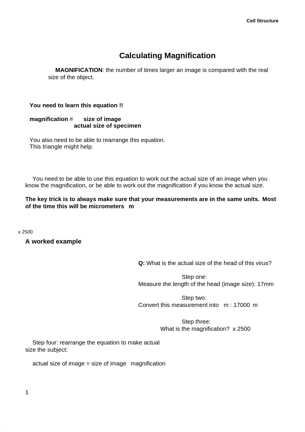 calculating magnificaiton.docx_d7s84li5e0b_page1