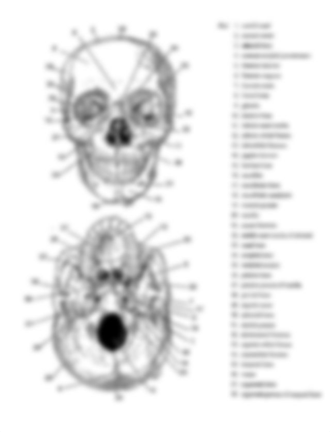 Skeletal Review_Cranium.pdf_d7s9v2t95lx_page1