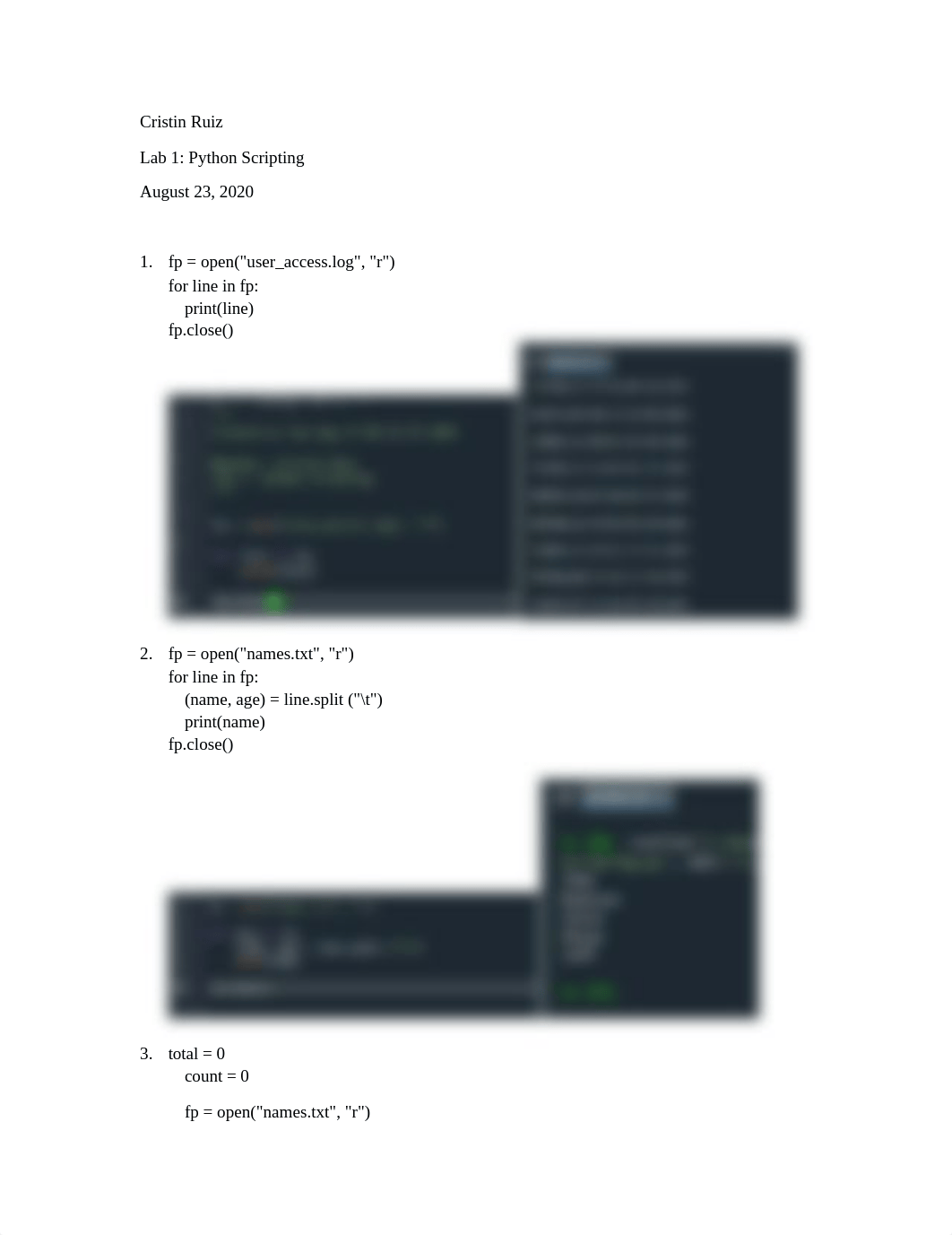 Lab 1 Python Scripting.docx_d7sebs21ff0_page1