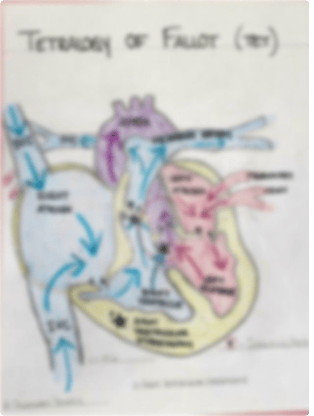 Drawings for Cardiac Defect Assignment .pdf_d7secbjhk01_page1