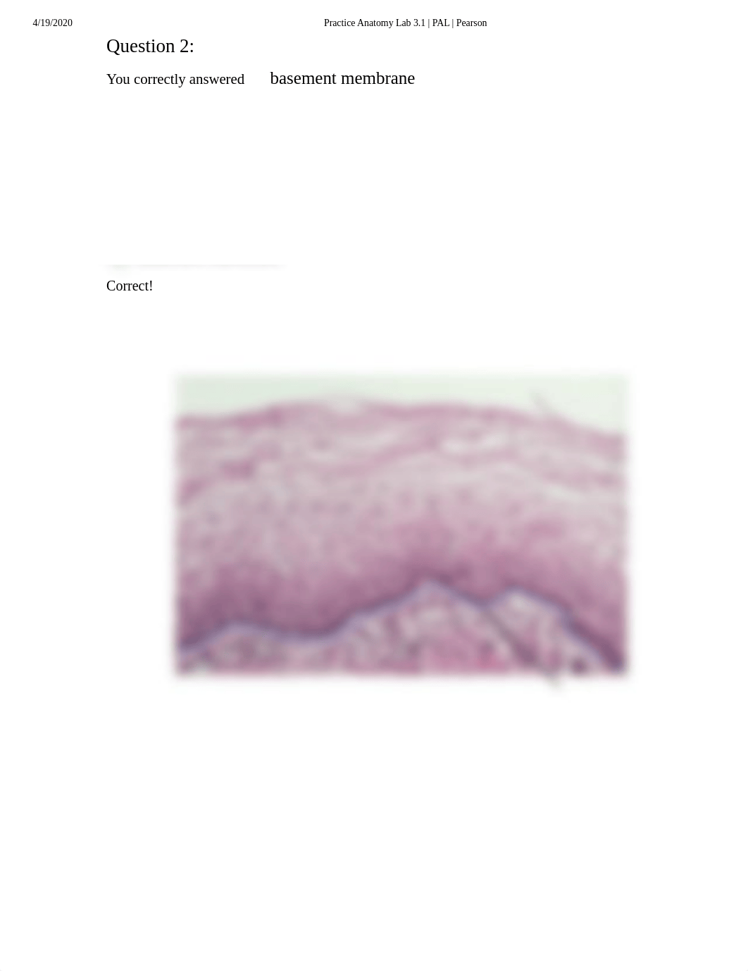 Doris Bowdre Histology  Reproductive System Quiz.pdf_d7sfqb9d0d0_page3