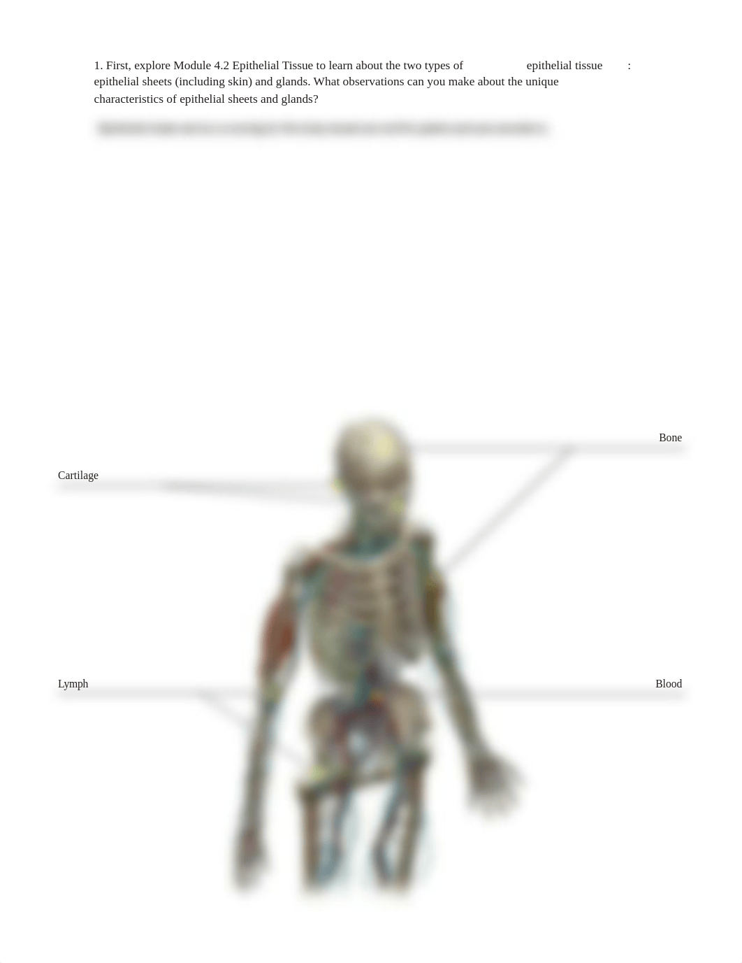 lab manual_tissues_a+p.pdf_d7srnv67hme_page5