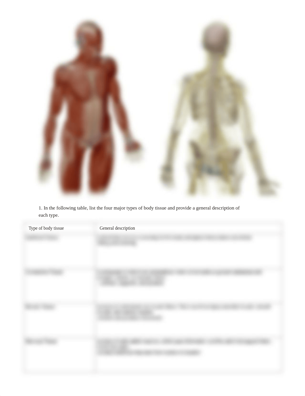 lab manual_tissues_a+p.pdf_d7srnv67hme_page3