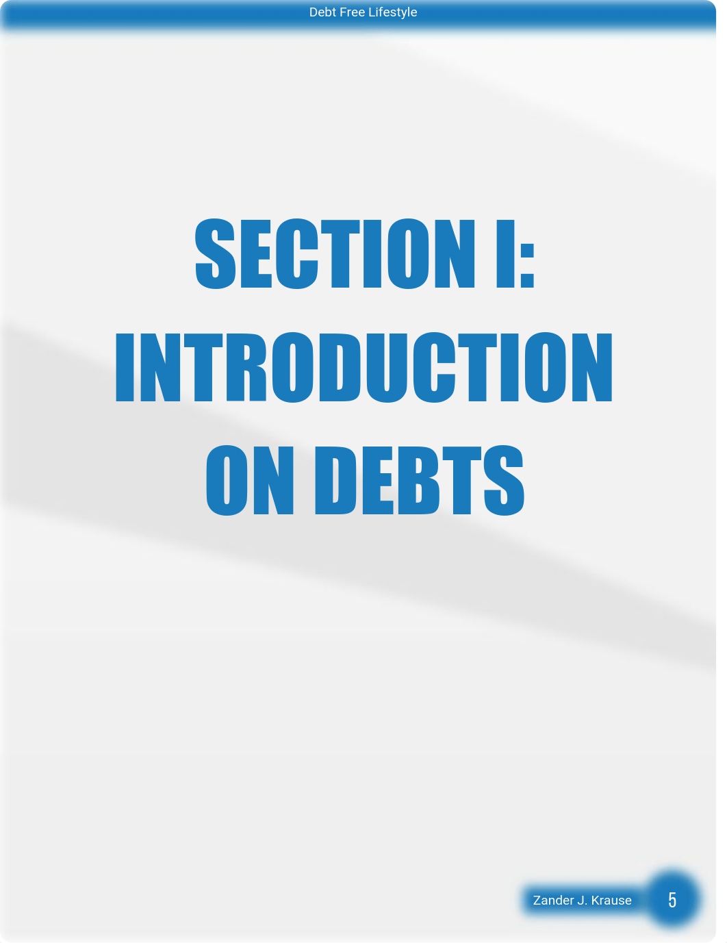 Debt Free Lifestyle E-Book.pdf_d7svax0afhq_page5