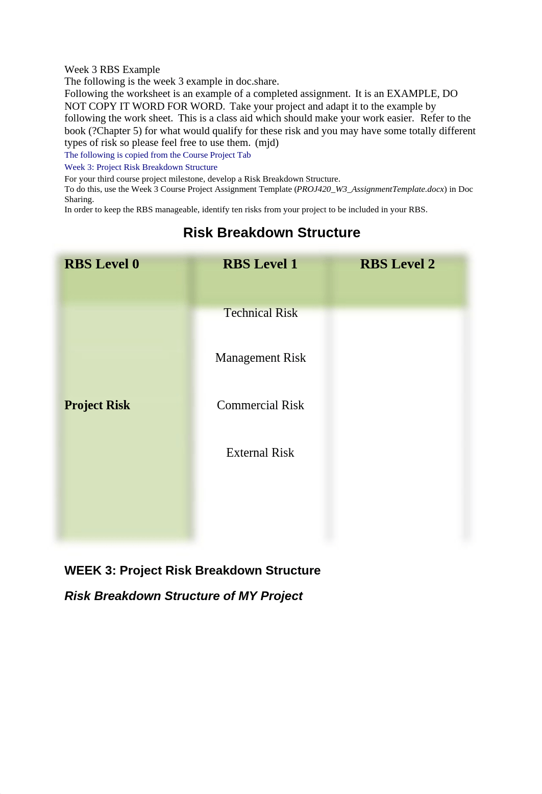 PROJ 420 Week 3 RBS Example_d7szezs330b_page1