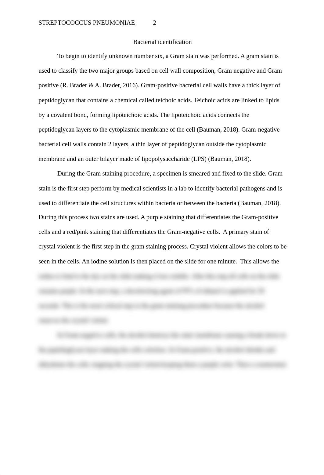 Identification of Unknown Bacteria- S. pneumonia-final.docx_d7tcbeki7sv_page2