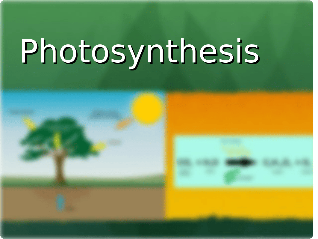 Photosynthesis.ppt_d7tgw7eyk8b_page1