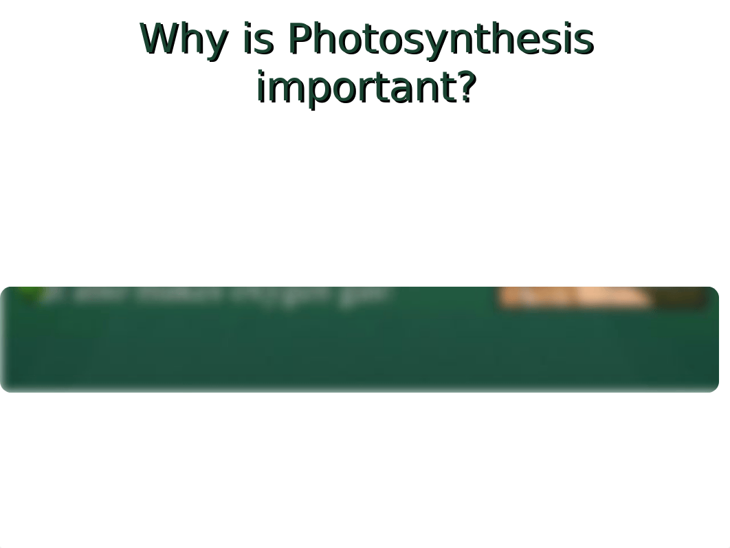 Photosynthesis.ppt_d7tgw7eyk8b_page5