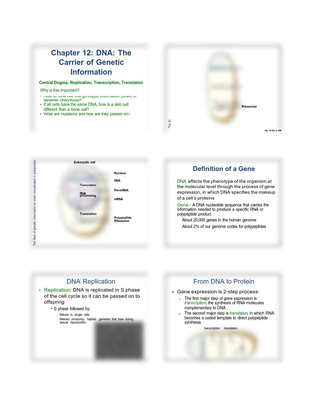 Chapter 12 PPT.pdf_d7tock69dh4_page1