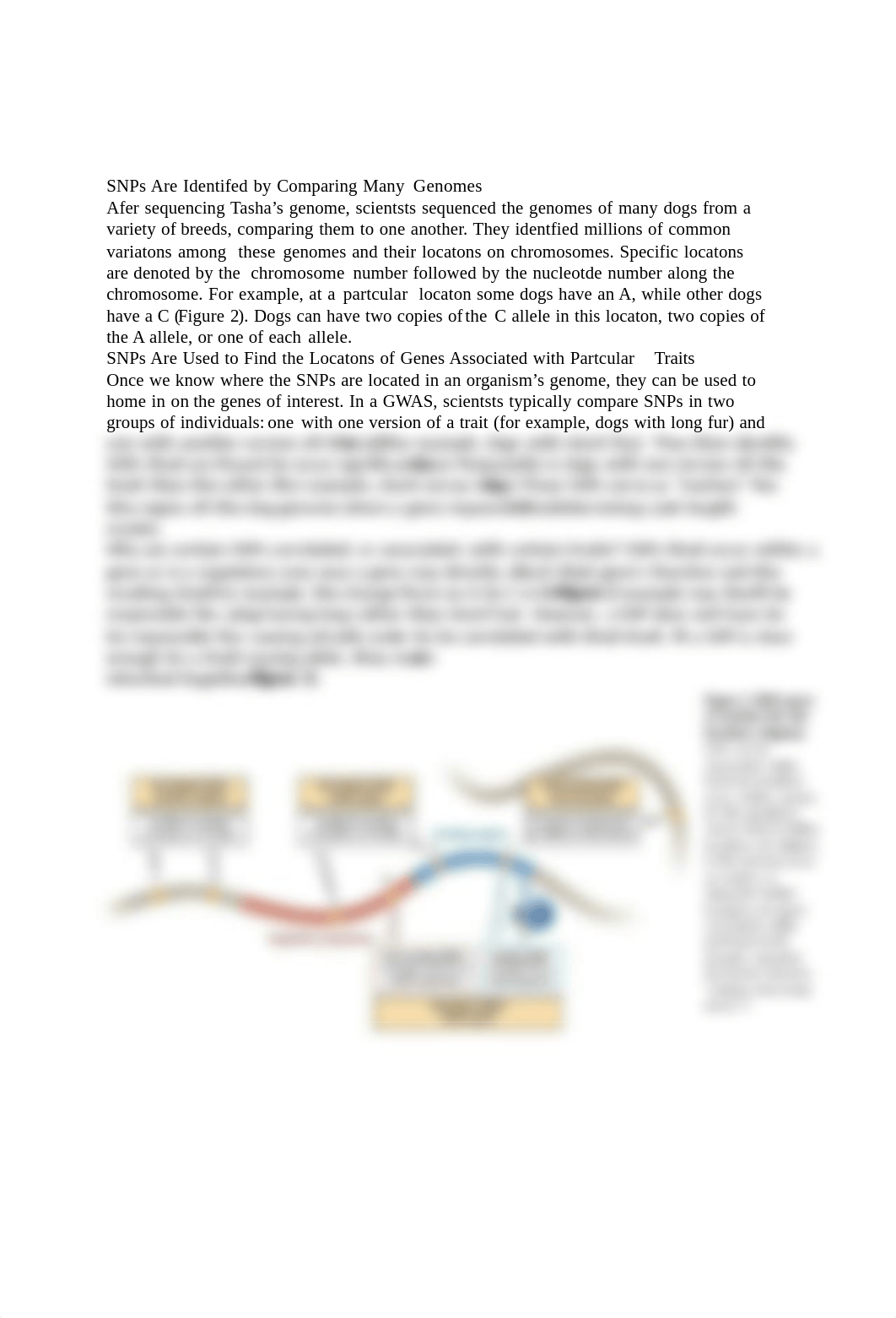 Mapping-Traits-in-Dogs-Student.docx_d7u5h0naomc_page2