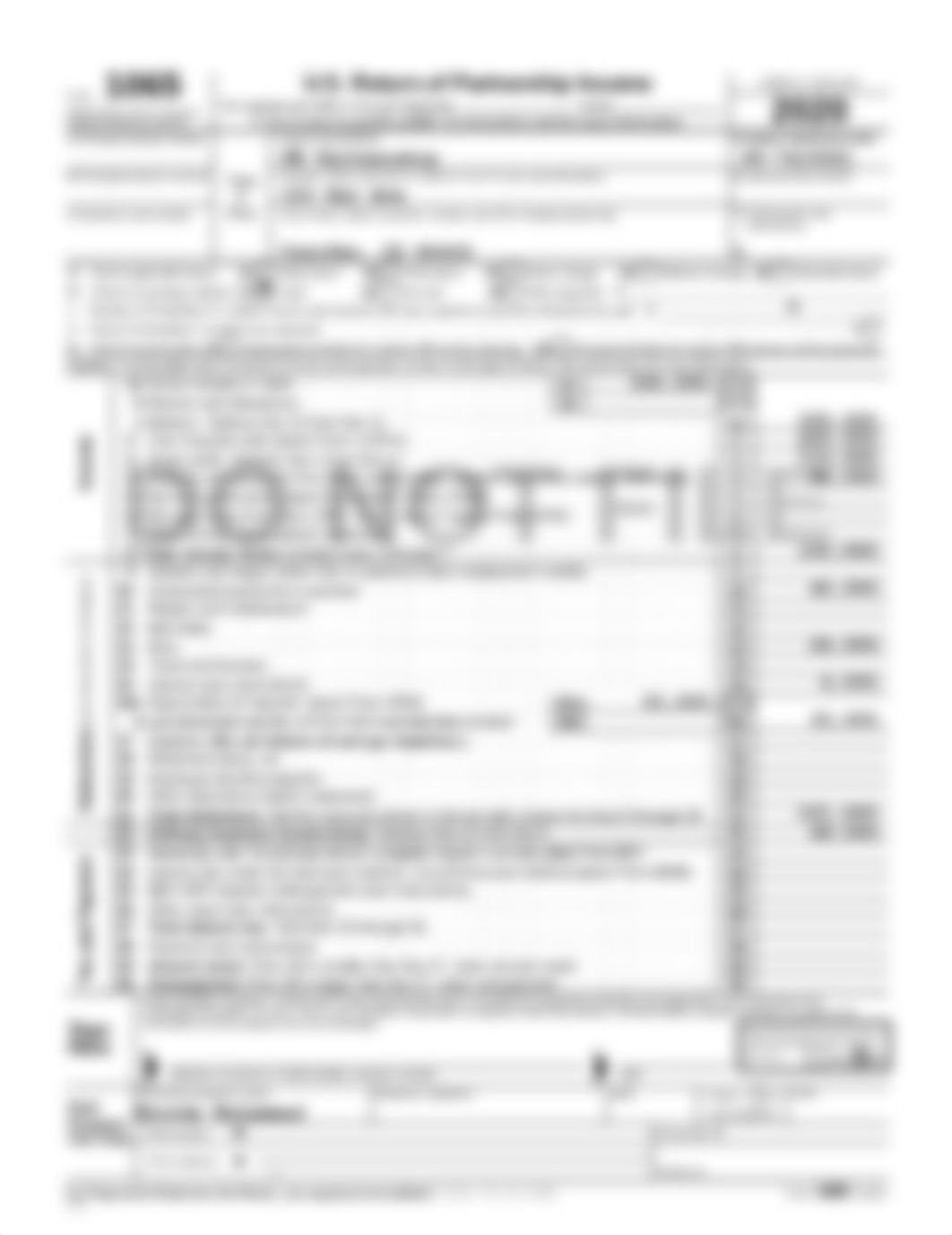 PW Partnership 2020 Federal Form 1065 Page 1.pdf_d7u9lq7hklc_page1