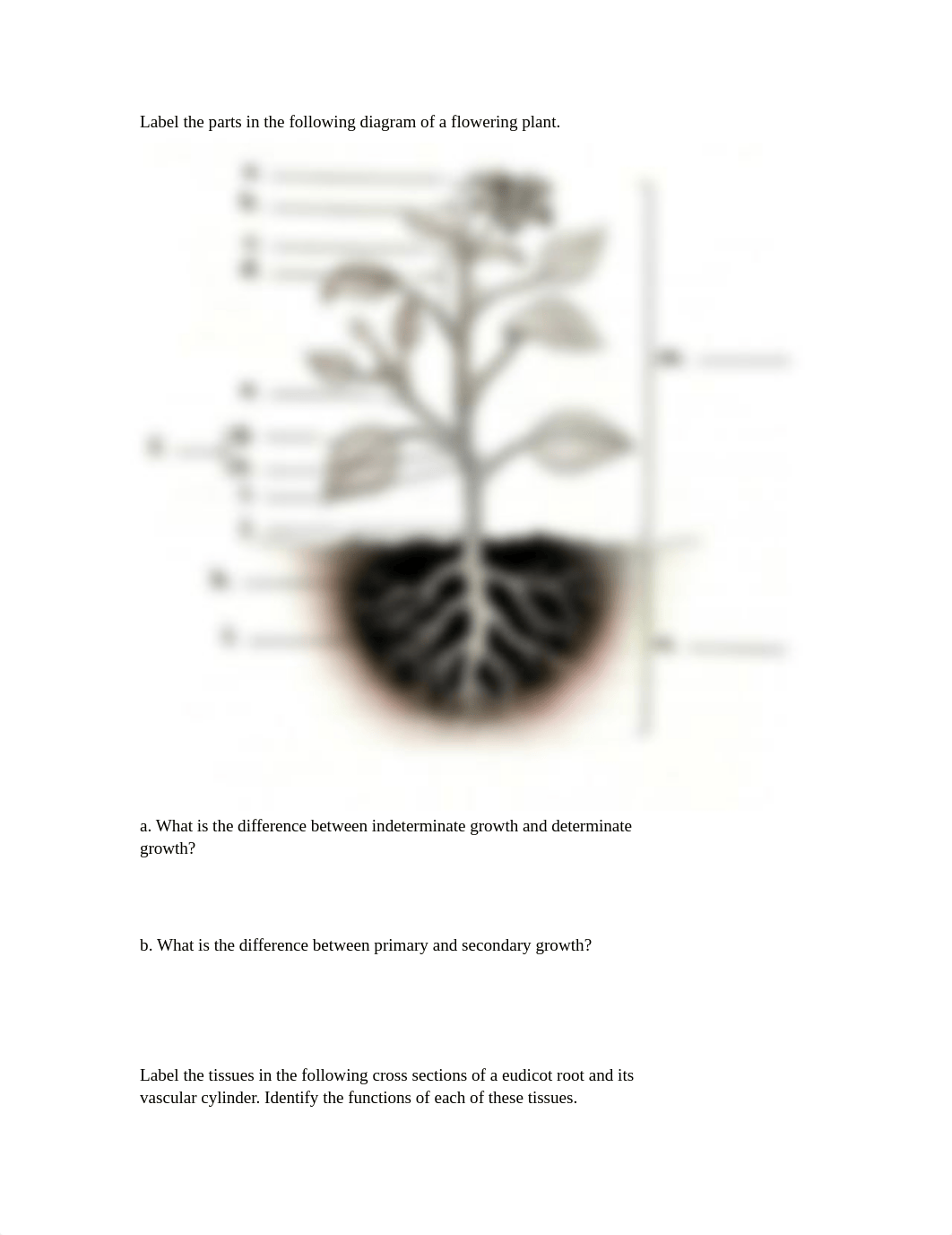 16.竞赛35 vascular plant.docx_d7uae5yk1df_page1