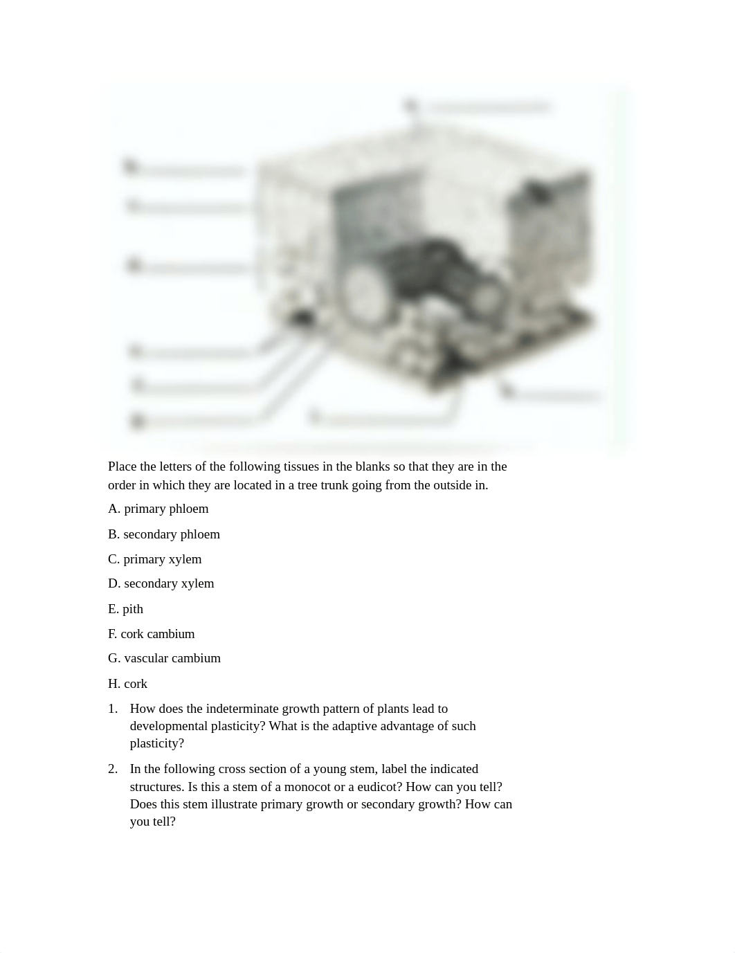 16.竞赛35 vascular plant.docx_d7uae5yk1df_page3