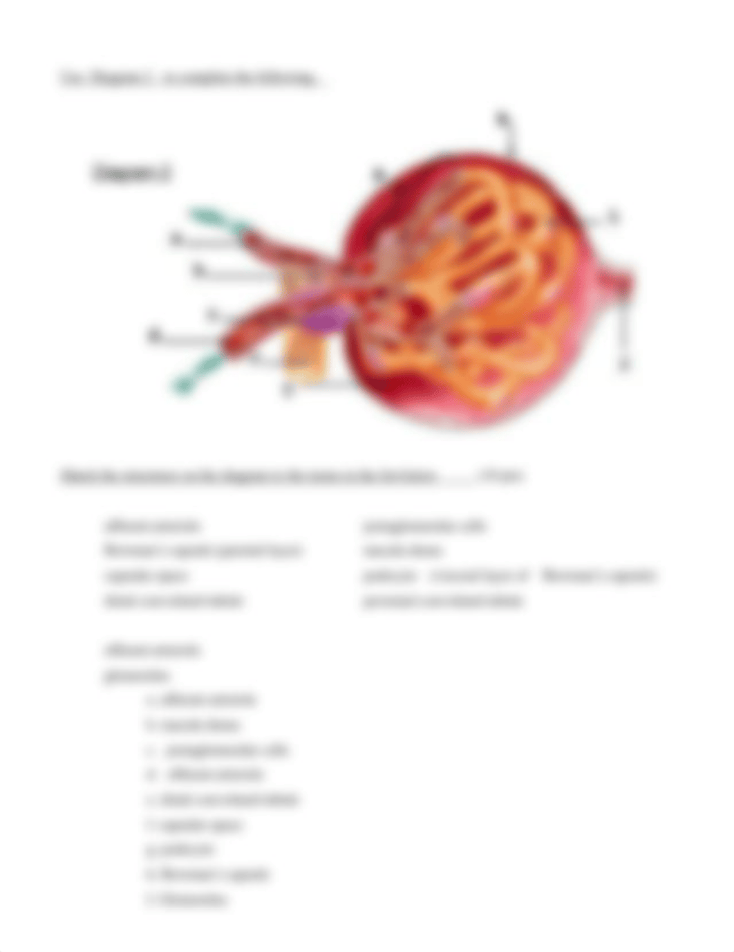 A&p HW 2.docx_d7ucgn6mhd8_page3