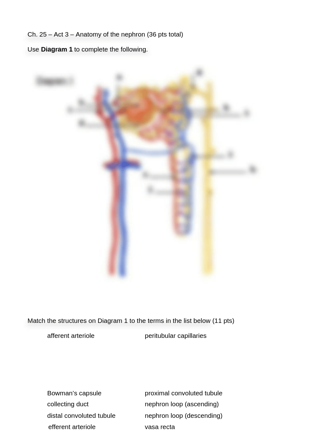 A&p HW 2.docx_d7ucgn6mhd8_page1