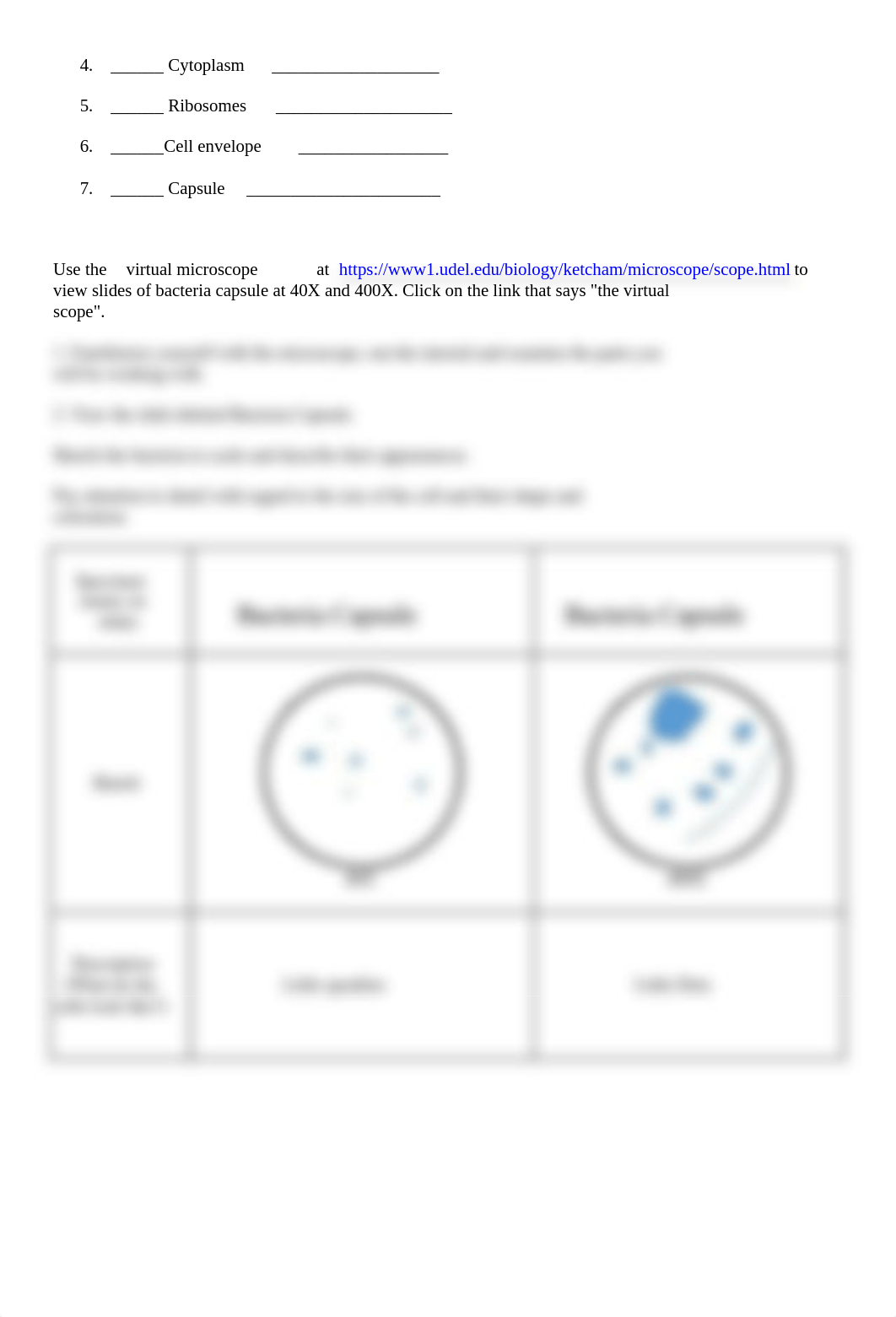 BIOLOGY SUMMER CELL STRUCTURE.docx_d7uef99r0wu_page2