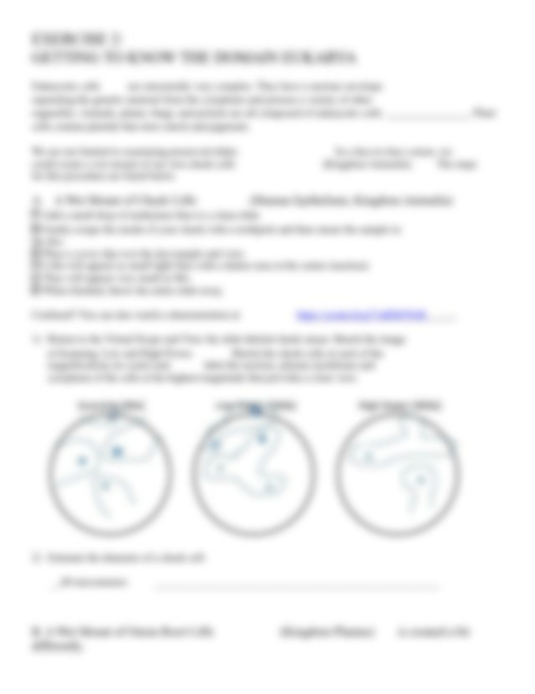 BIOLOGY SUMMER CELL STRUCTURE.docx_d7uef99r0wu_page3