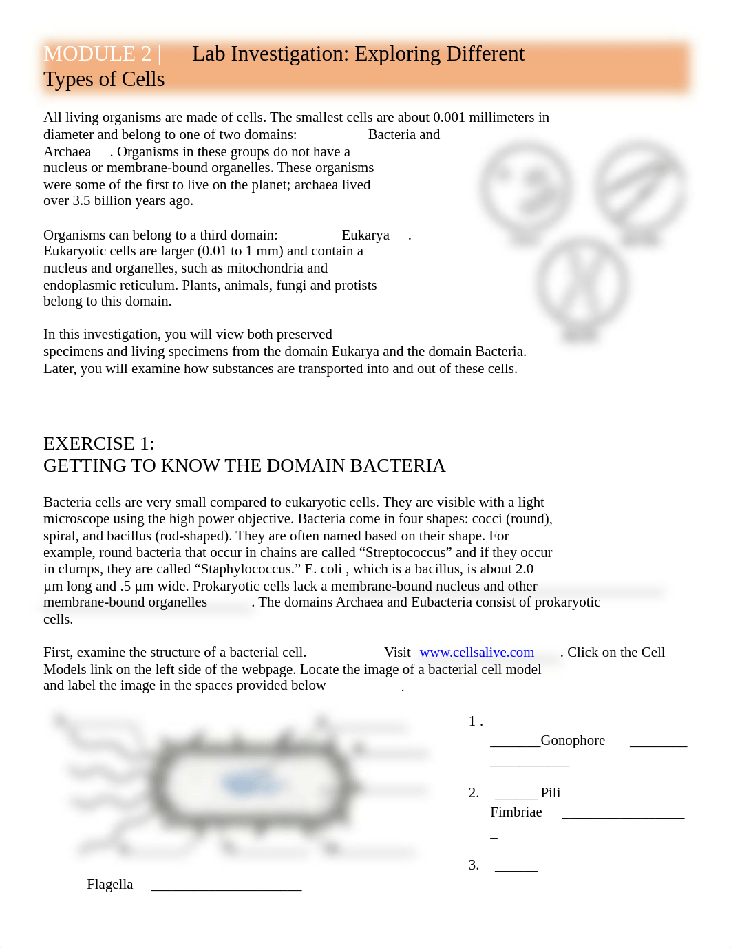 BIOLOGY SUMMER CELL STRUCTURE.docx_d7uef99r0wu_page1