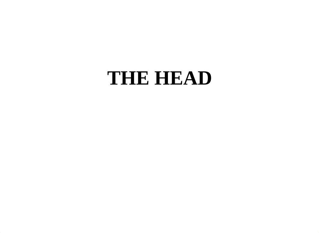 THE HEAD(4).pptx_d7ujhmzeb43_page1