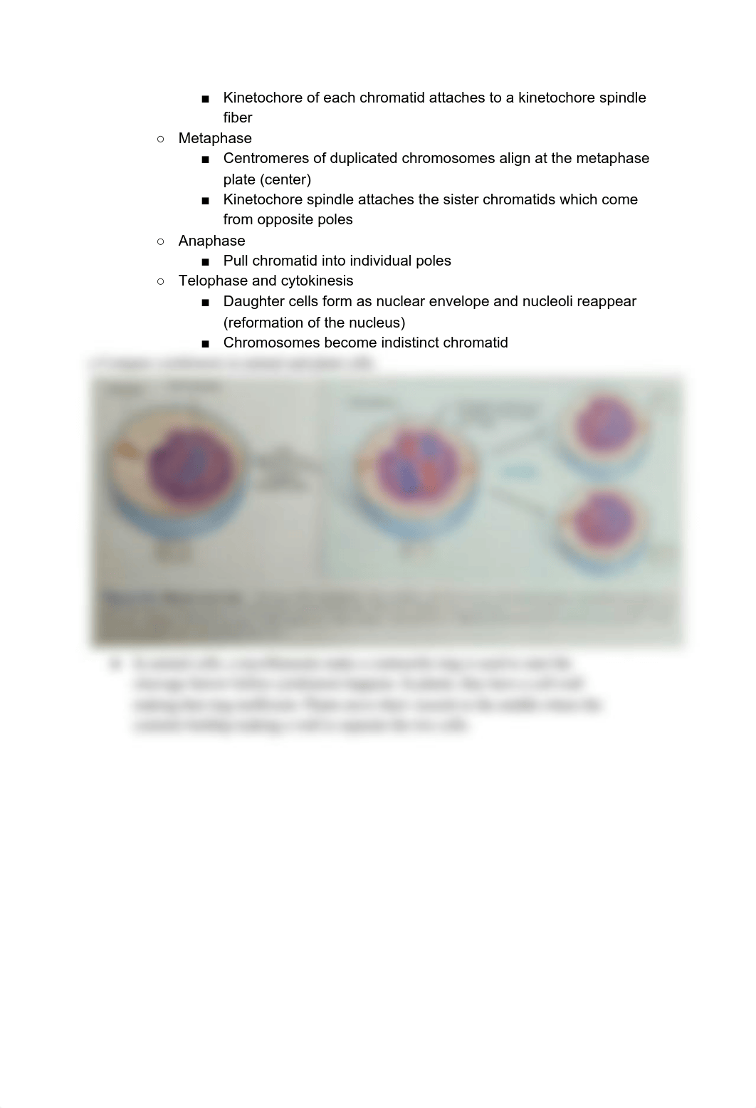 BIO EXAM 3 STUDY GUIDE.pdf_d7uqxgwbbw0_page3