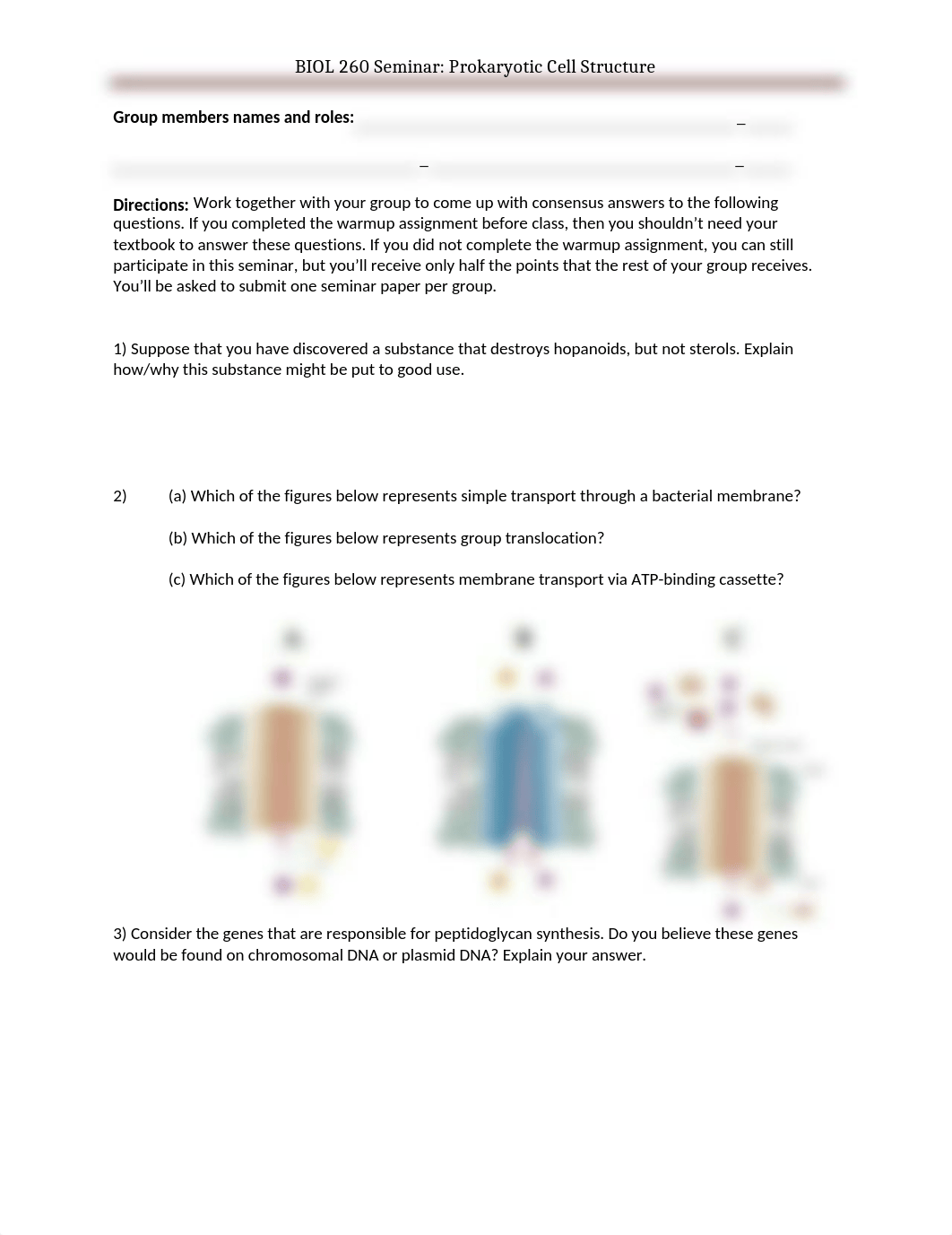 Seminar #2- Prokaryotic Anatomy.docx_d7ur6kuxx8y_page1