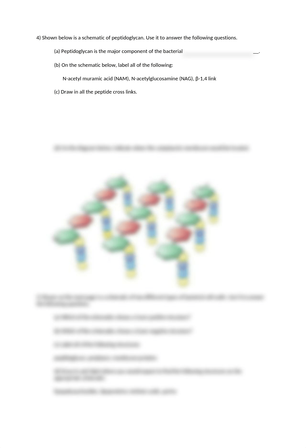 Seminar #2- Prokaryotic Anatomy.docx_d7ur6kuxx8y_page3