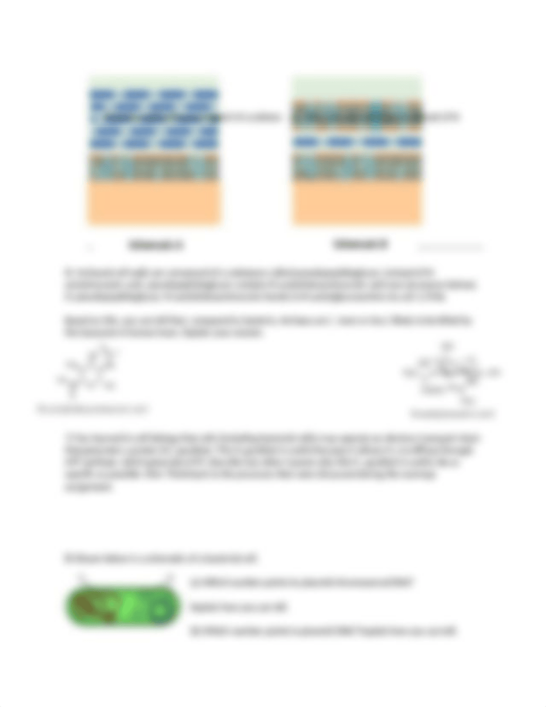 Seminar #2- Prokaryotic Anatomy.docx_d7ur6kuxx8y_page4