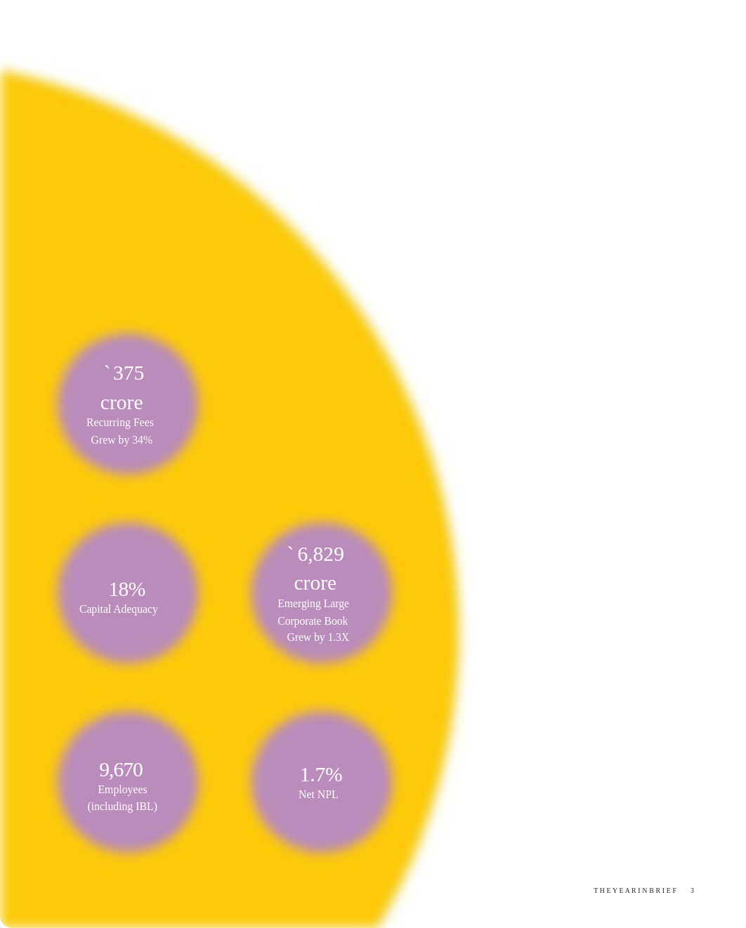 IDFC-Bank-Limited-Fourth-Annual-Report-2017-18.pdf_d7usqaq74zf_page5